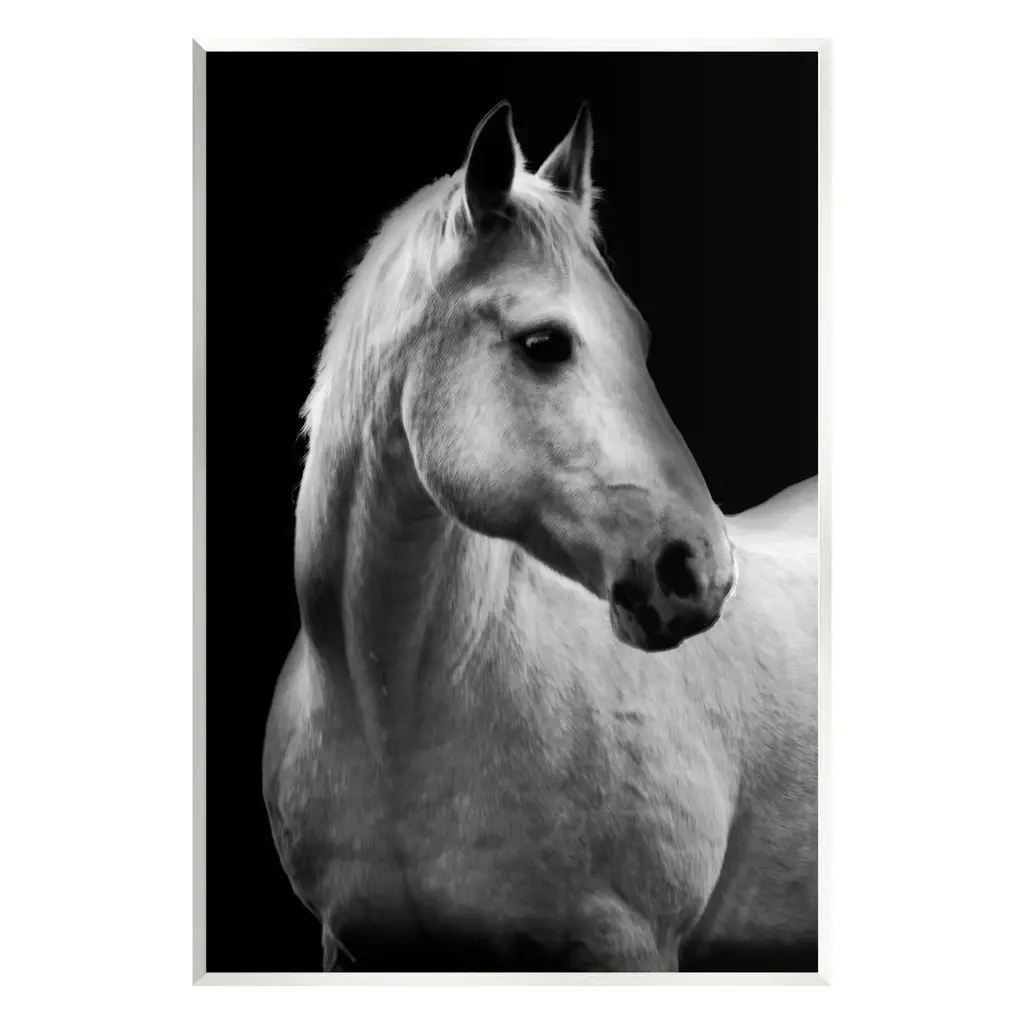 Stupell Horse On Black Portrait Wall Plaque Art Design By Danita Delimont - 10 X 15