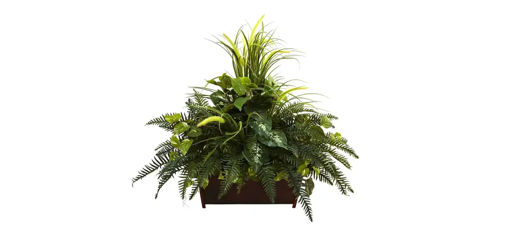 Mixed Grass & River Fern With Wood Planter