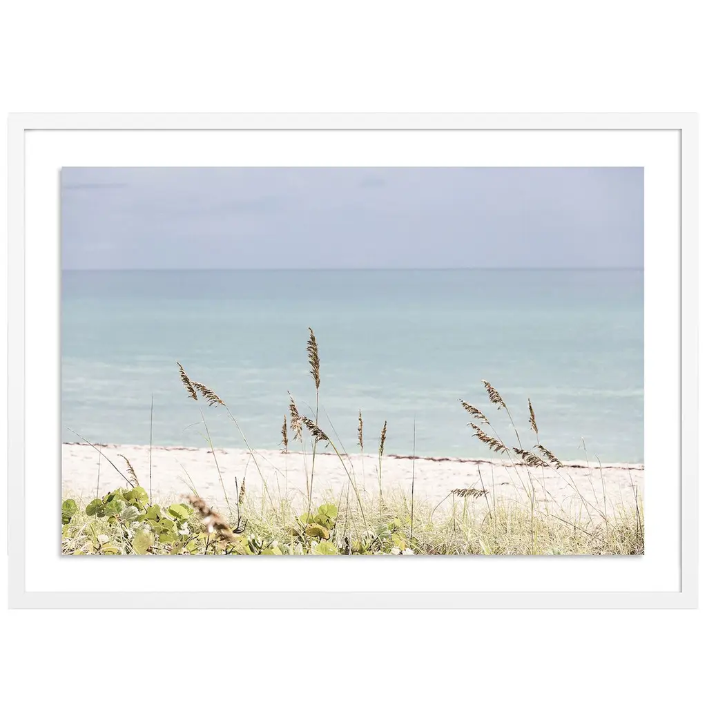 Palm Beach Wild Grass - Palm Beach, Florida Photograph By Carly Tabak