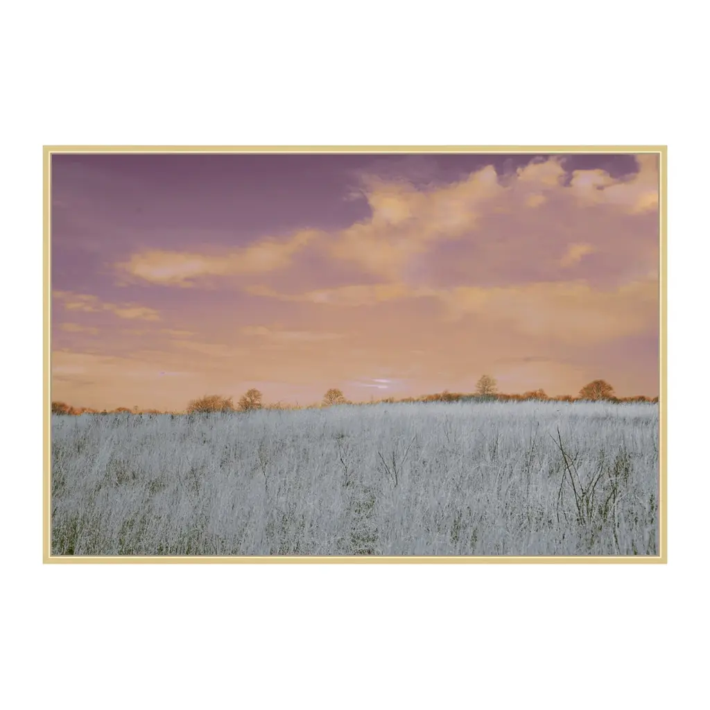 Beneath Setting Skies