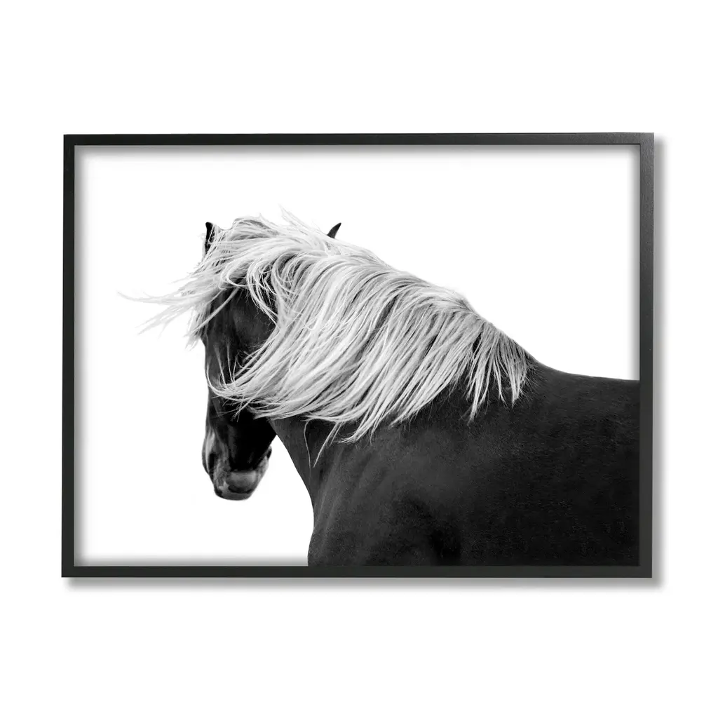 Stupell Equestrian Photography Modern Horse Contrast Black White Framed Wall Art - 30 X 24 - Black