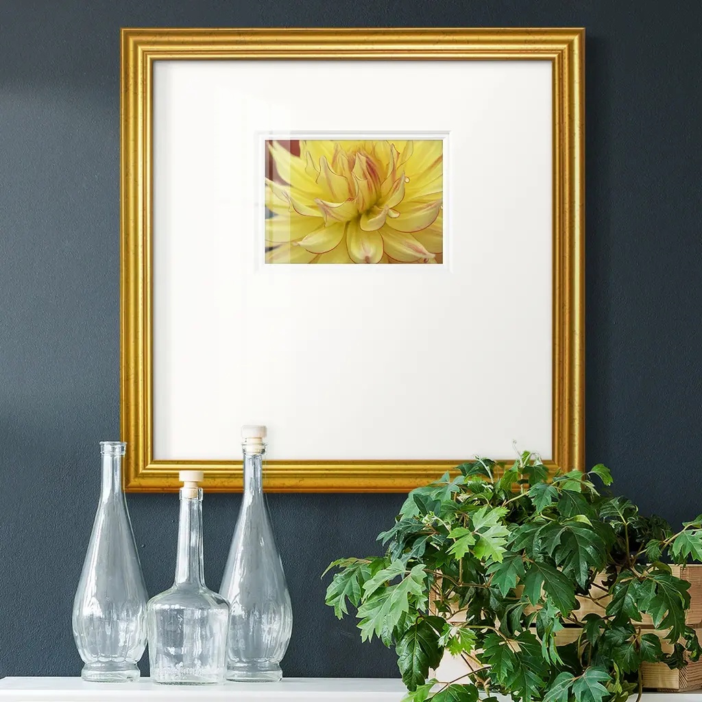 Blooms Ipremium Framed Print - 16x16 - Gold