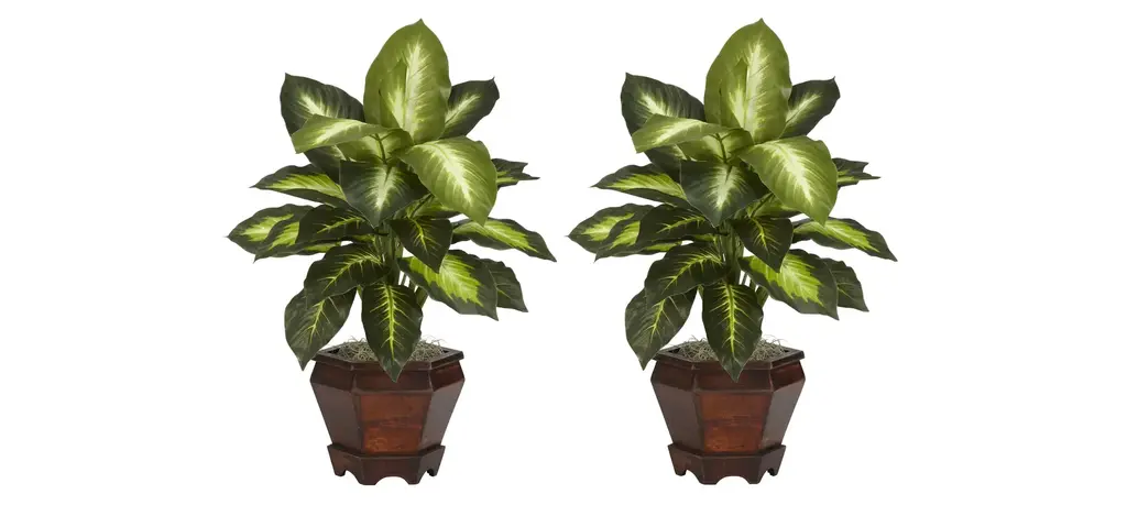 Dieffenbachia With Wood Vase Silk Plant (Set Of 2)