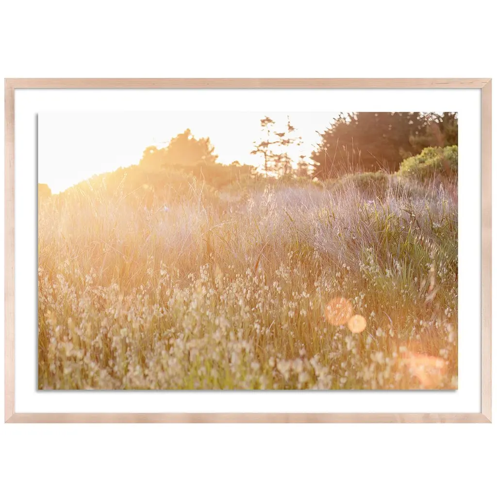 Sun Kissed - Sea Ranch, California Photograph By Carly Tabak