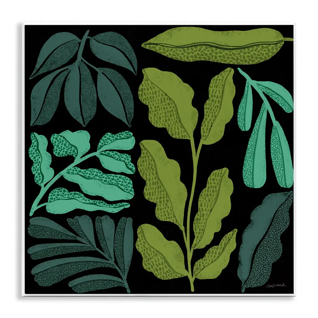 Stupell Plant Sprig Collage Wall Plaque Art Design By Cheryl Warrick - 12 X 12