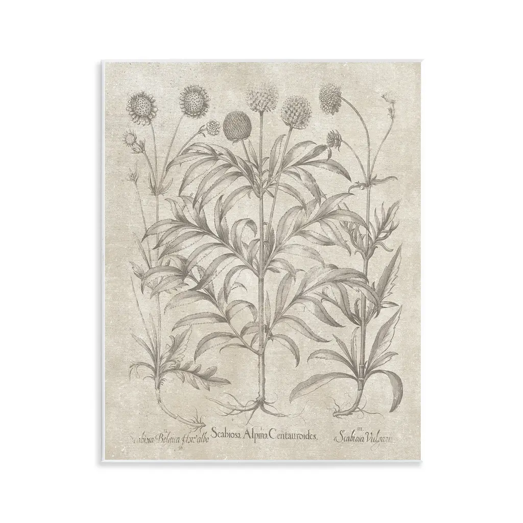 Stupell Vintage Plant Life Wall Plaque Art Design By Lettered And Lined - 11 X 14