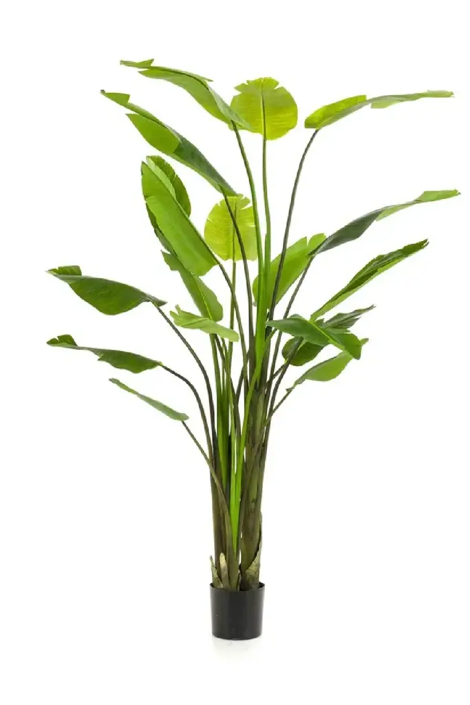 Faux Bird Of Paradise Plant Set (2) | Emerald Strelitzia