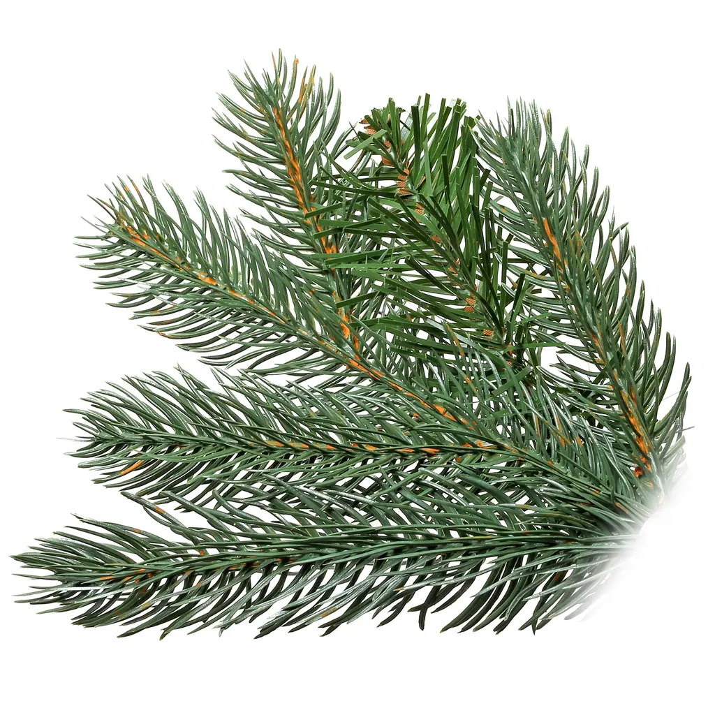 5' Led Colorado Spruce Tree - Green