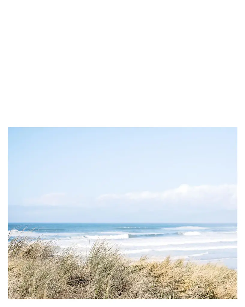 "Ocean Dunes" By Caroline Pacula