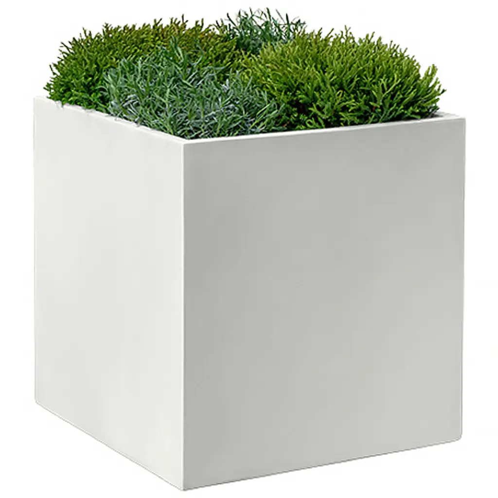 Farnley Planter, Chalk Lite