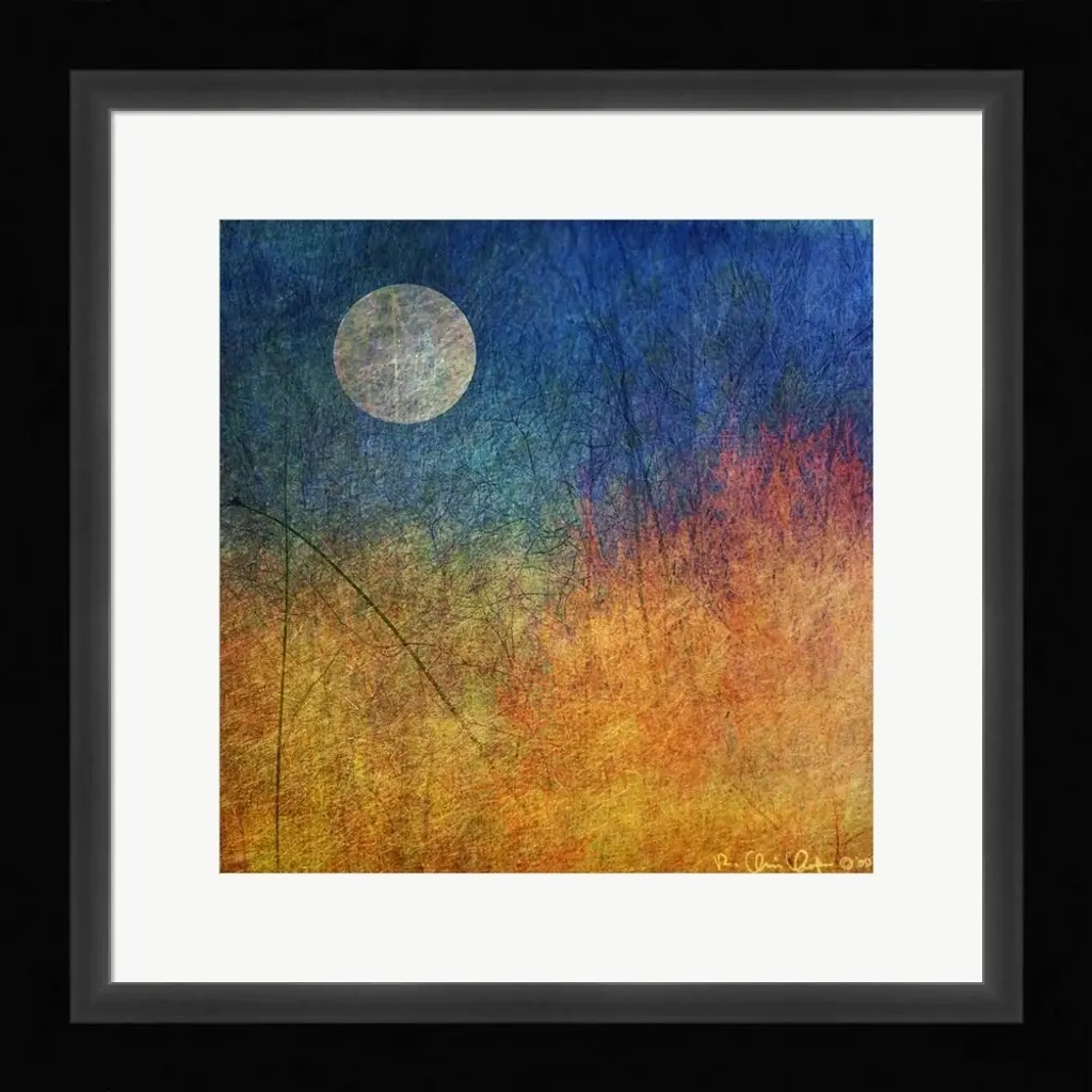 Chris Vest 'Bushy Abstract' Framed Art - Plastic - Black