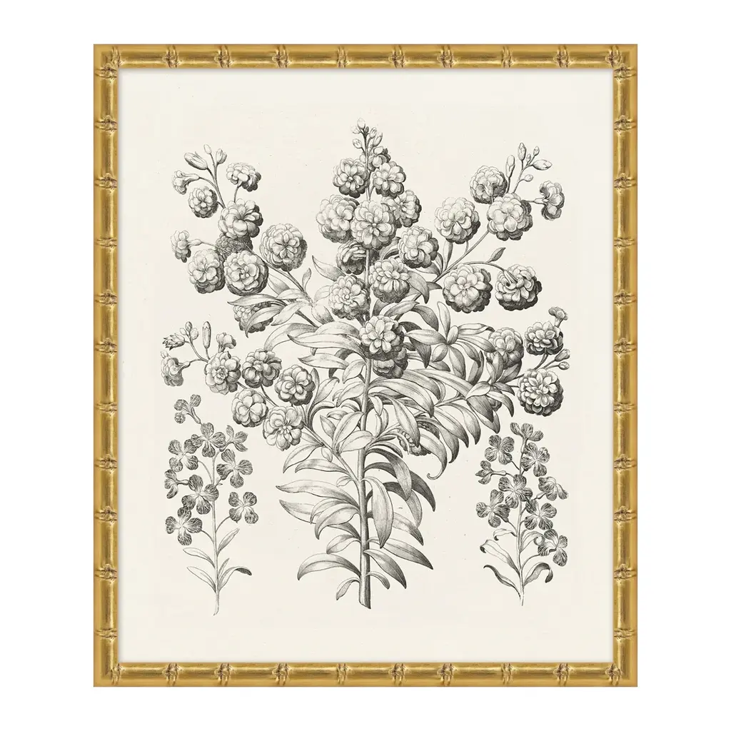 Bessler Study In Neutral 7