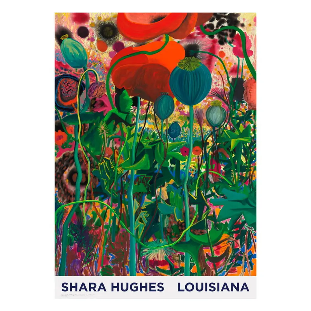 Shara Hughes - Pop 2021, A1 Poster