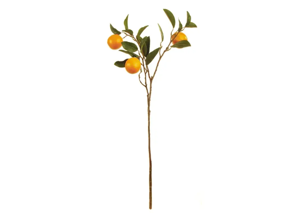 Orange Branch