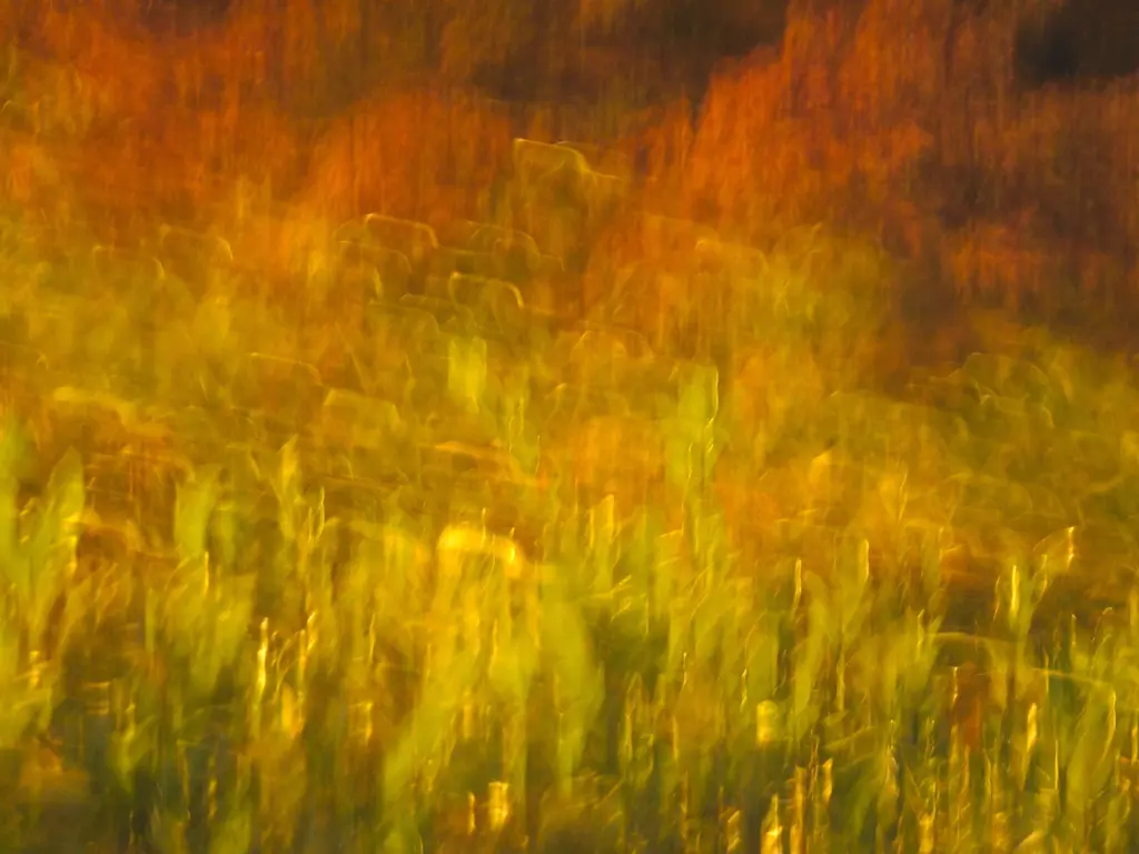 Contemporary Minimalist Abstract Photographic Color Print