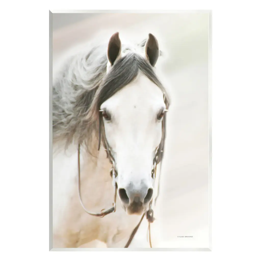 Stupell White Horse Portrait Wall Plaque Art Design By Kari Brooks - 13 X 19