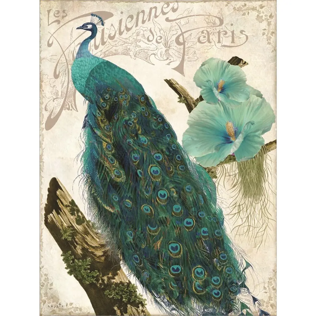 Sophie 6 'Les Paons I' Framed Art - 17 X 22