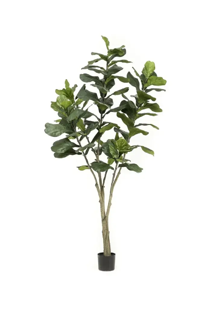 Artificial Fiddle Leaf Plants (2) Xl | Emerald Ficus Lyrata
