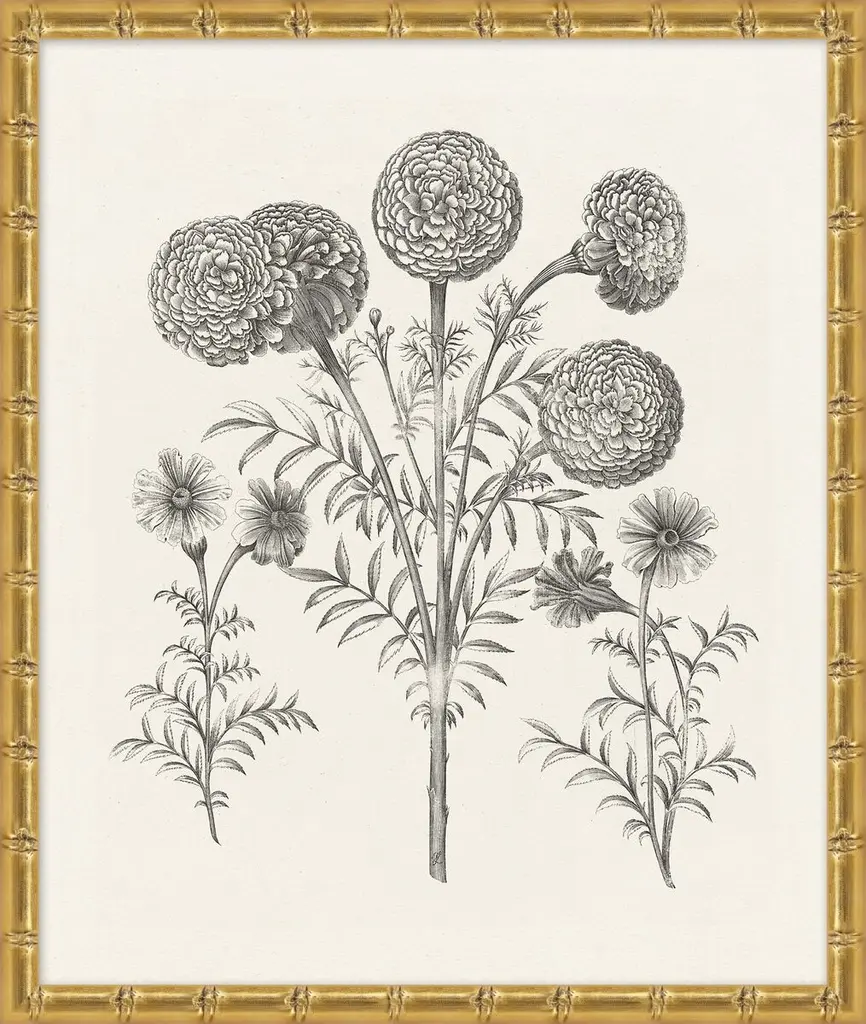 Lillian August, Bessler Study In Neutral Ix