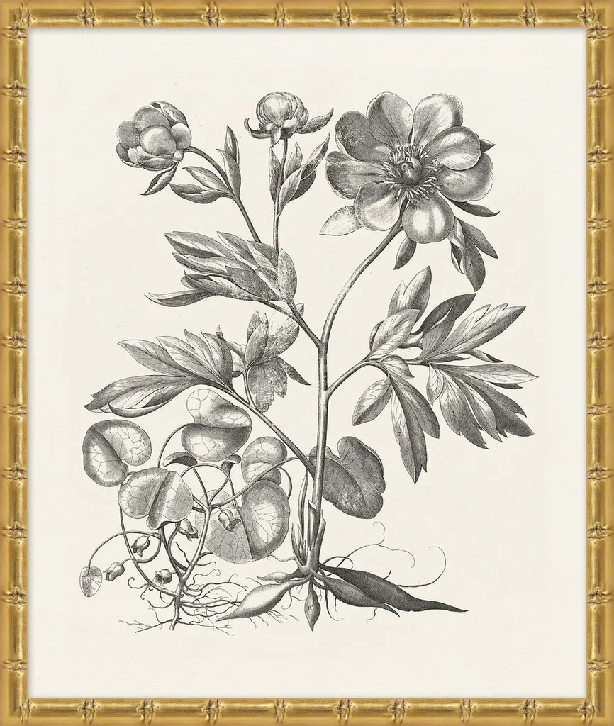 Lillian August, Bessler Study In Neutral Ii