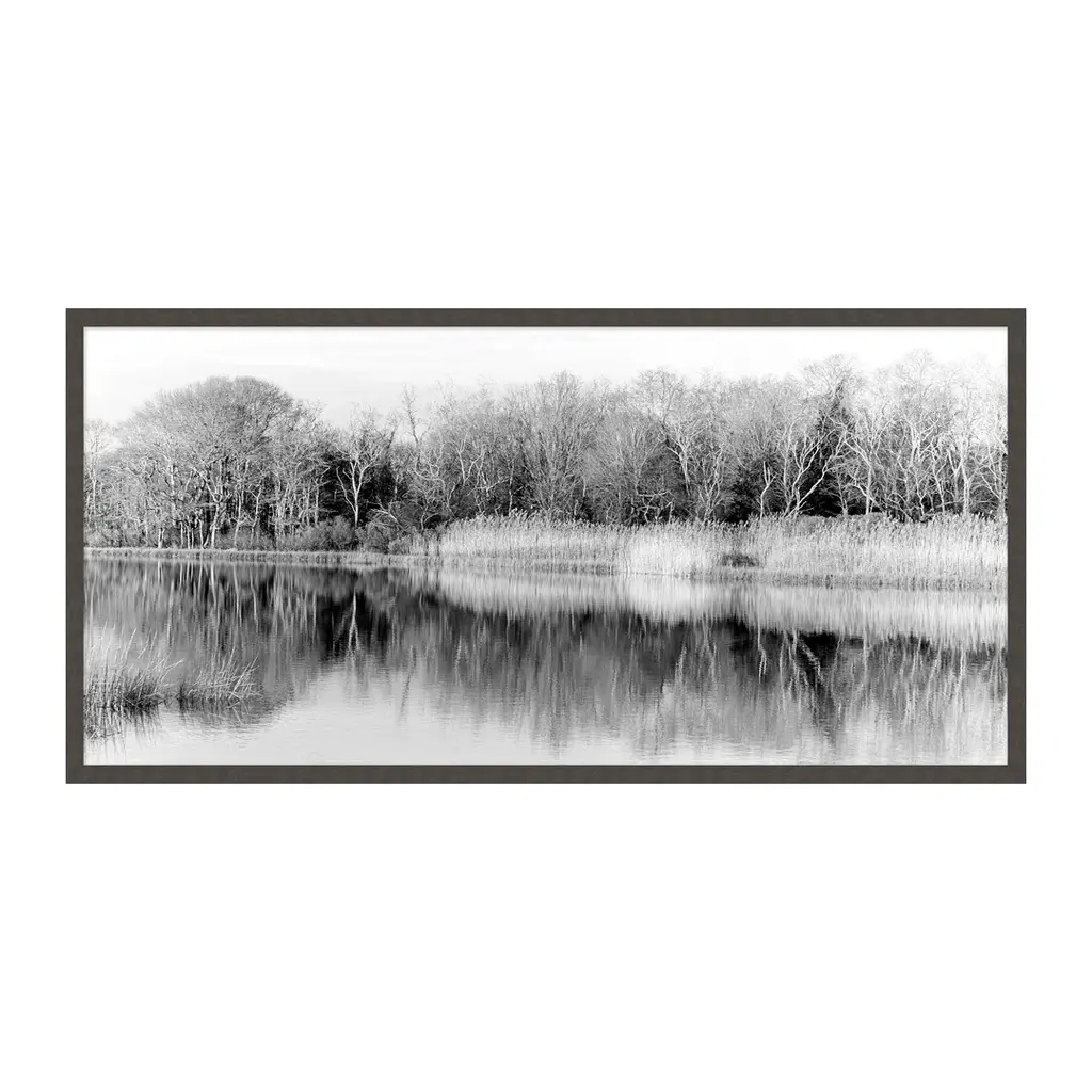 Riverbank Reflection