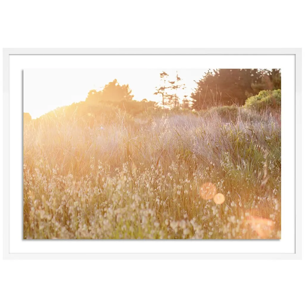 Sun Kissed - Sea Ranch, California Photograph By Carly Tabak
