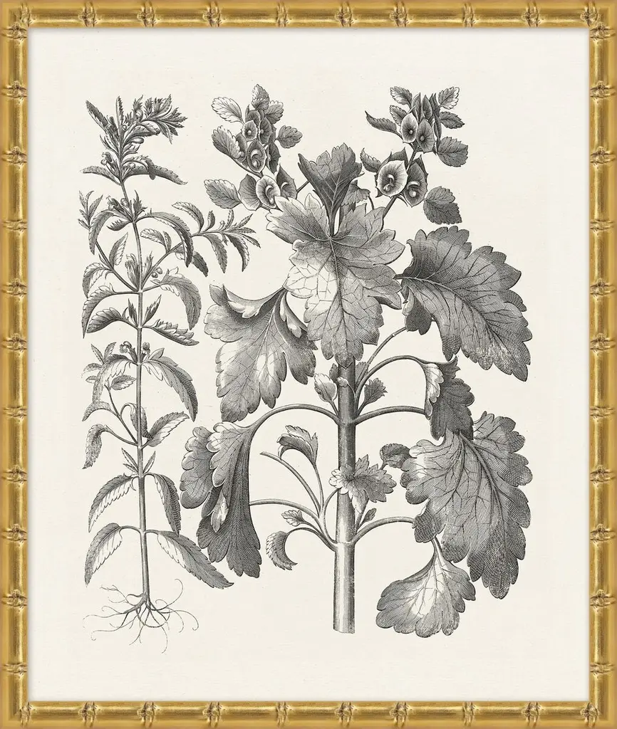 Lillian August, Bessler Study In Neutral Vii