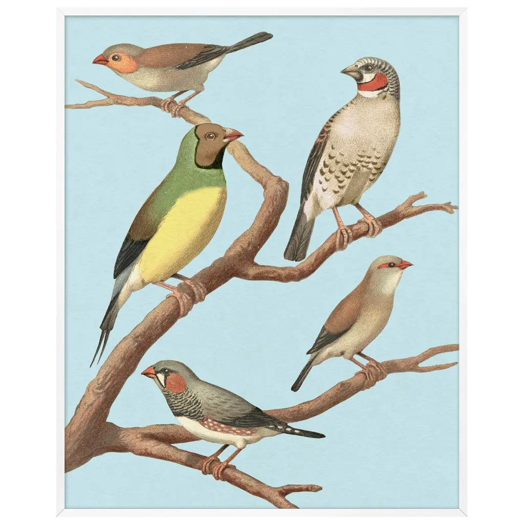 Lillian August, Perched 1