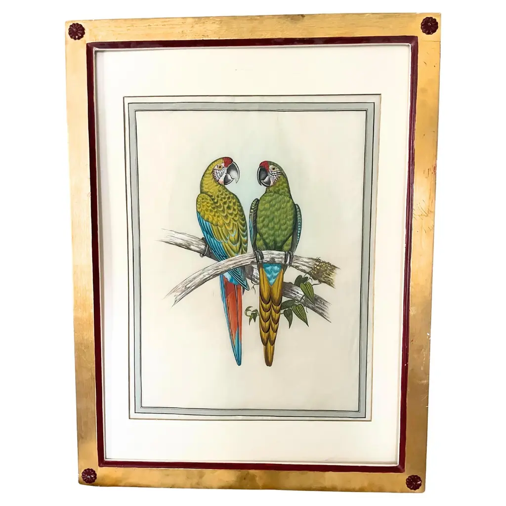 18 Antique Bird Hand-Coloured Engravings