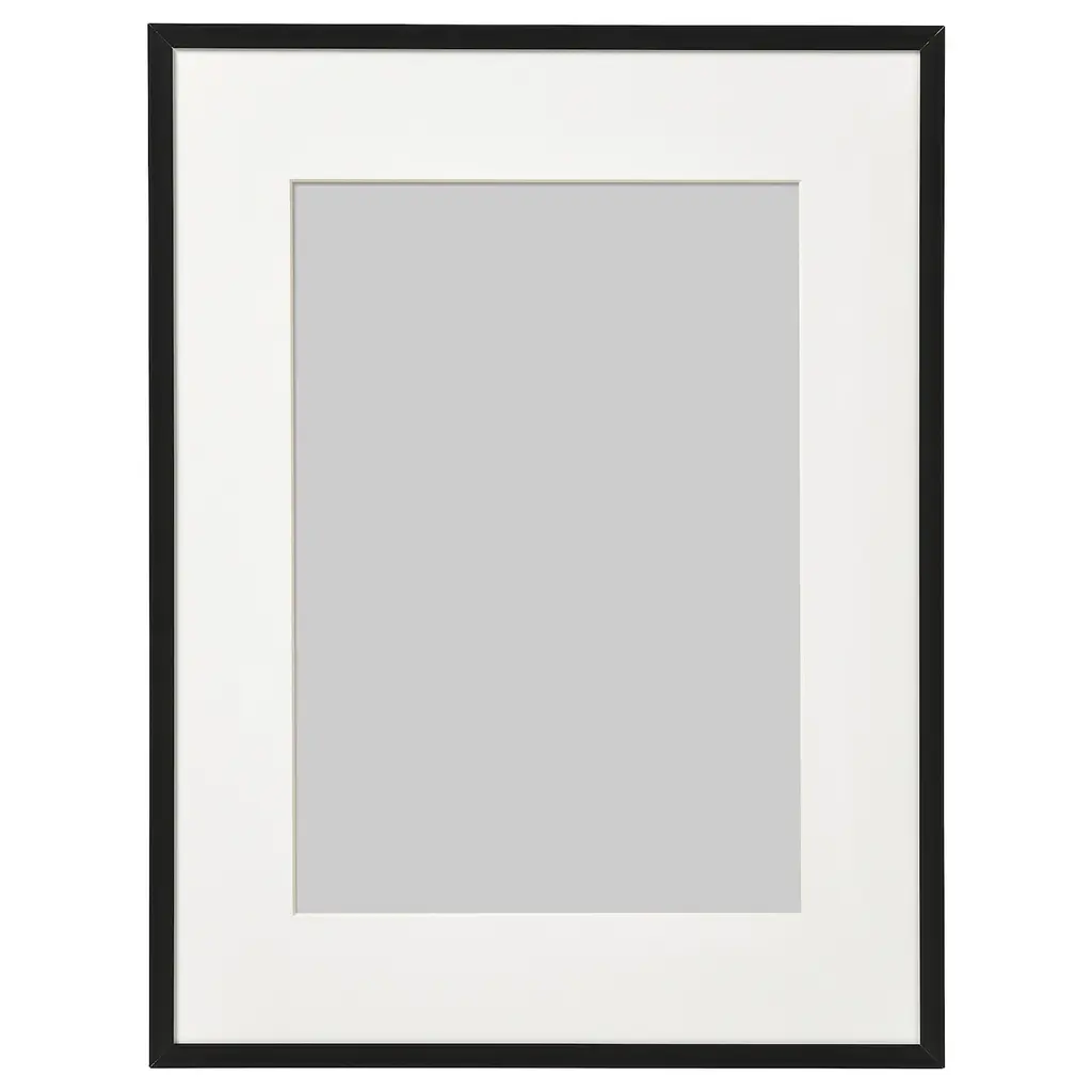 Lomviken Frame - Black 12x16 "