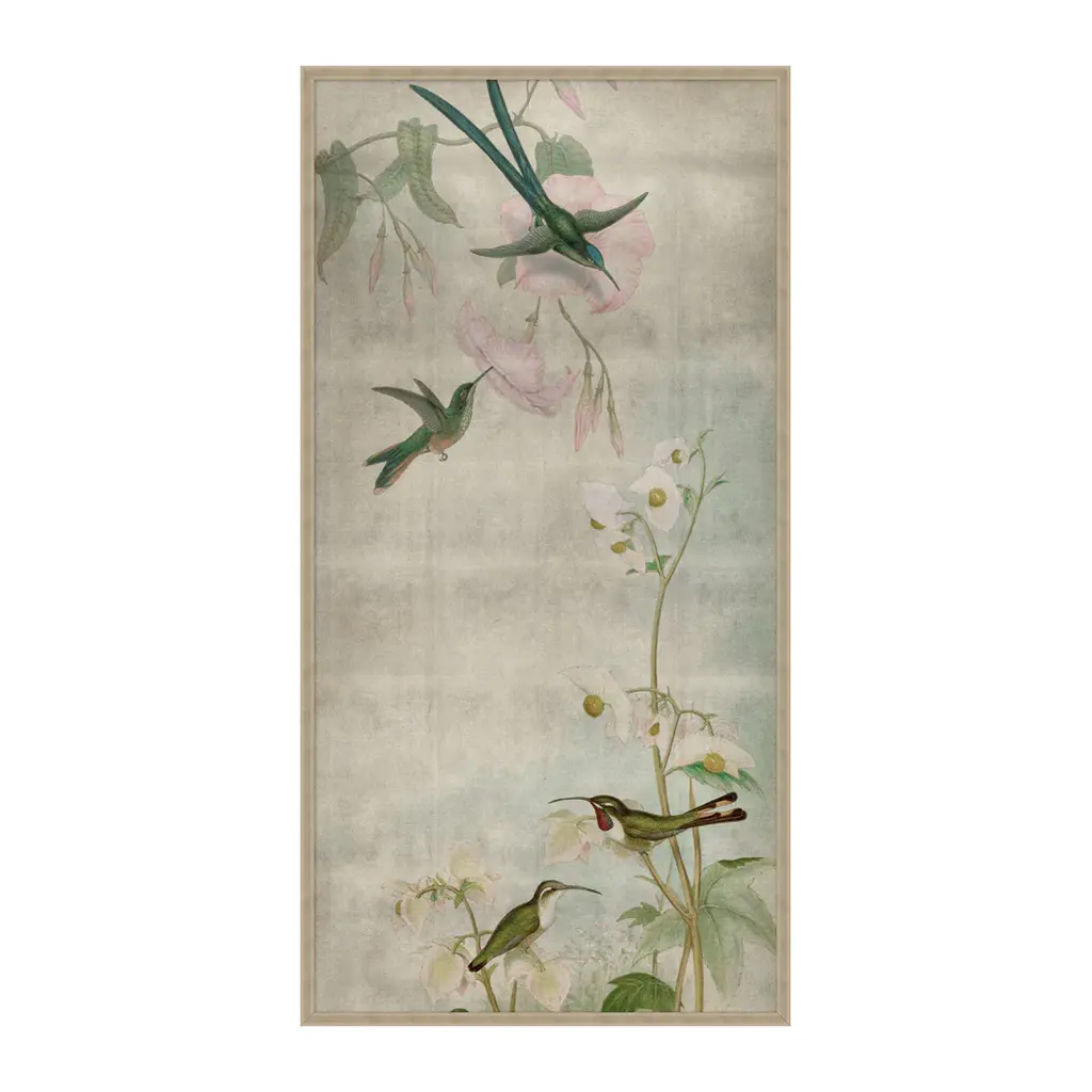 Hummingbird Dances 1