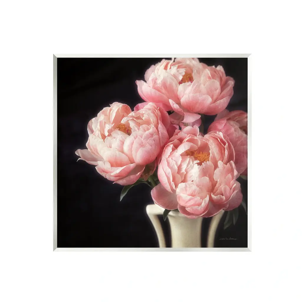 Stupell Three Peonies Photography Wall Plaque Art Debra Van Swearingen - 12 X 12