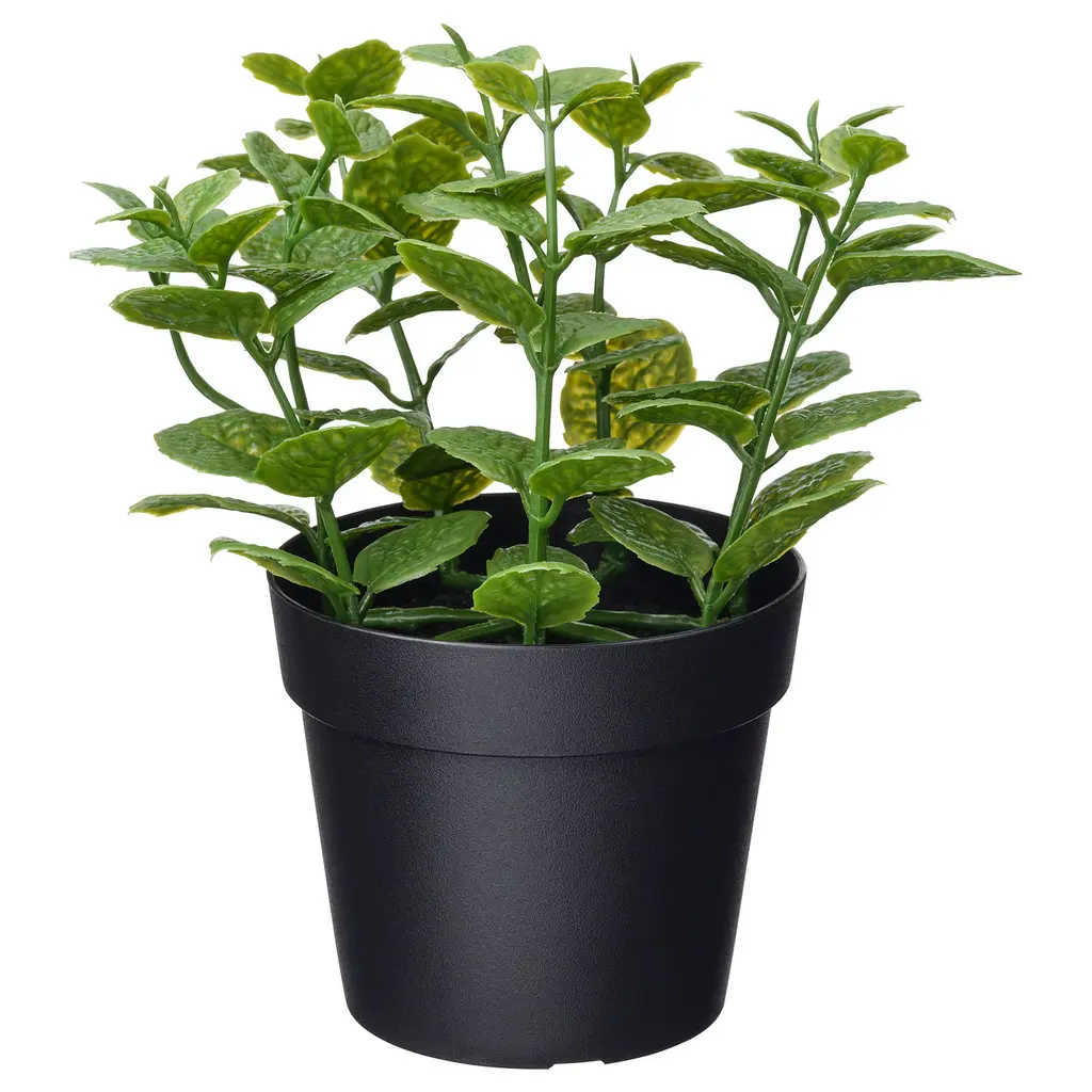 Fejka Artificial Potted Plant - Indoor/outdoor Mint 3 1⁄2 "