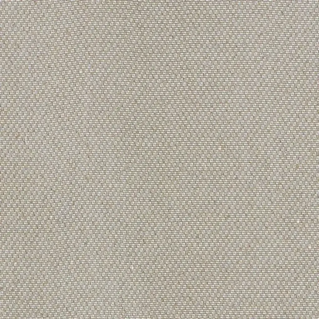 Schumacher Giorgio Sheer Fabric In Platinum