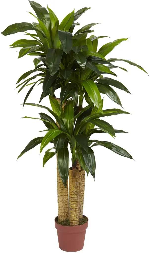 48" Faux Dracaena Tree