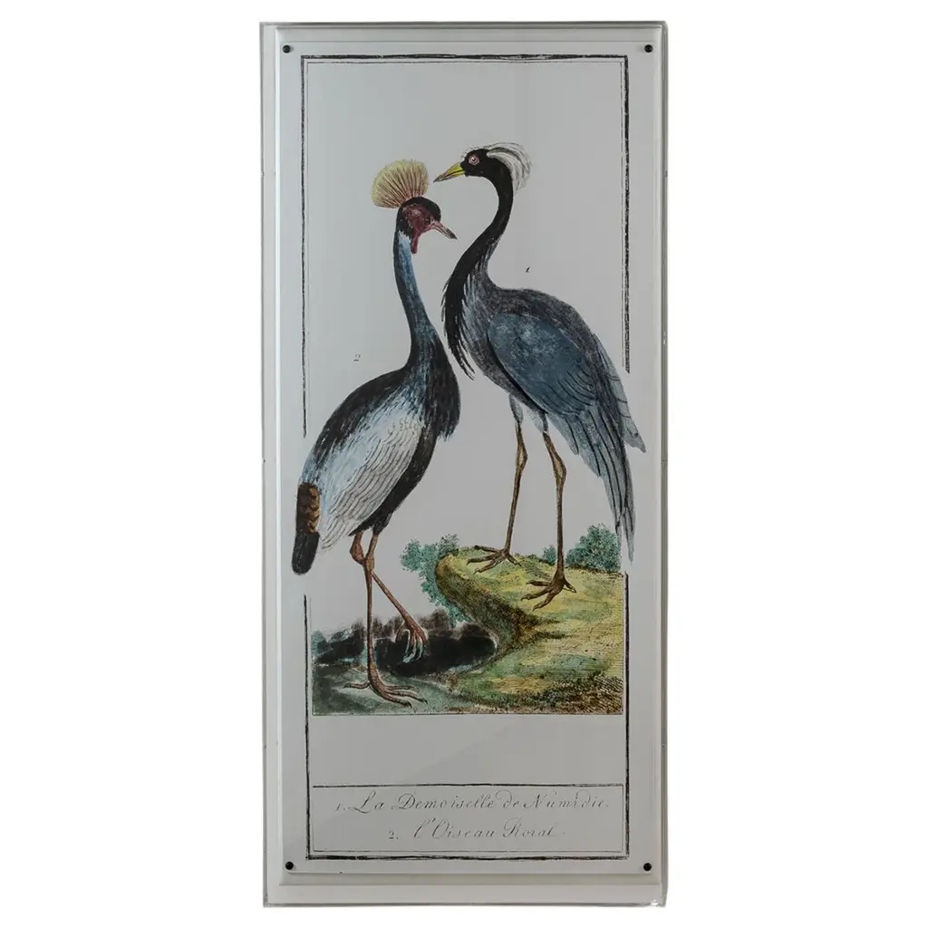 Buffon Heron I Print, 22" X 48"