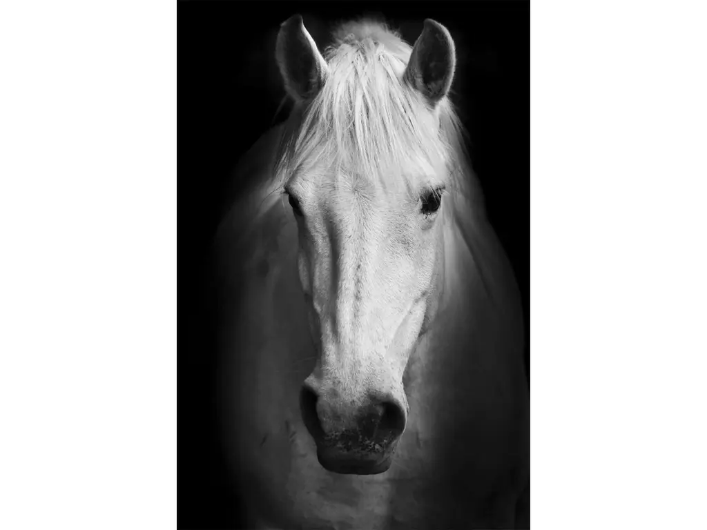 White Horse