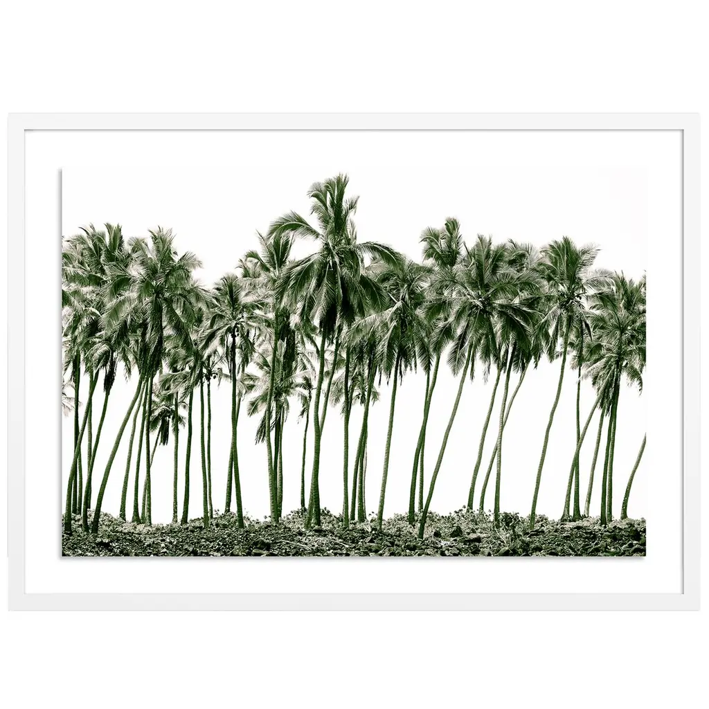 Green Palms, Hawaii Photograph By Carly Tabak