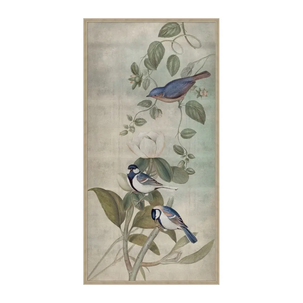 Hummingbird Dances 4