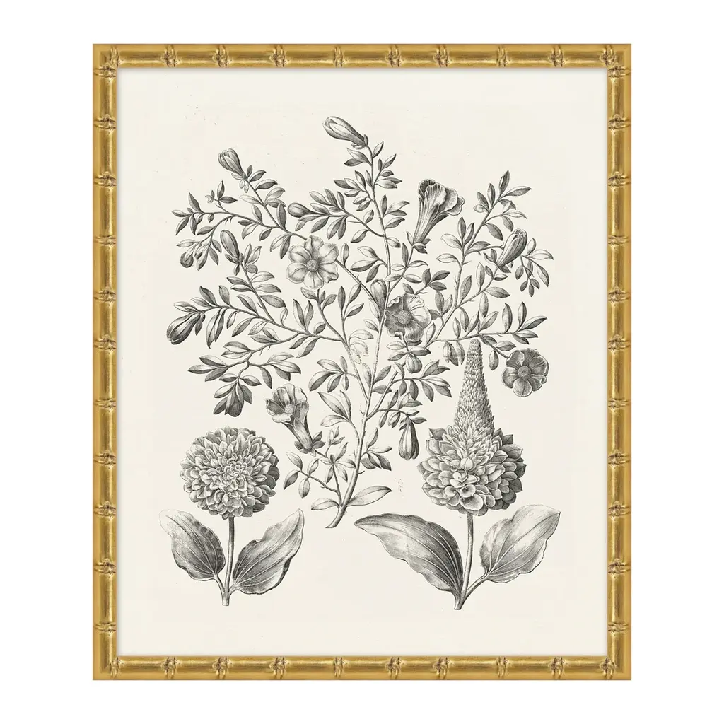 Bessler Study In Neutral 5