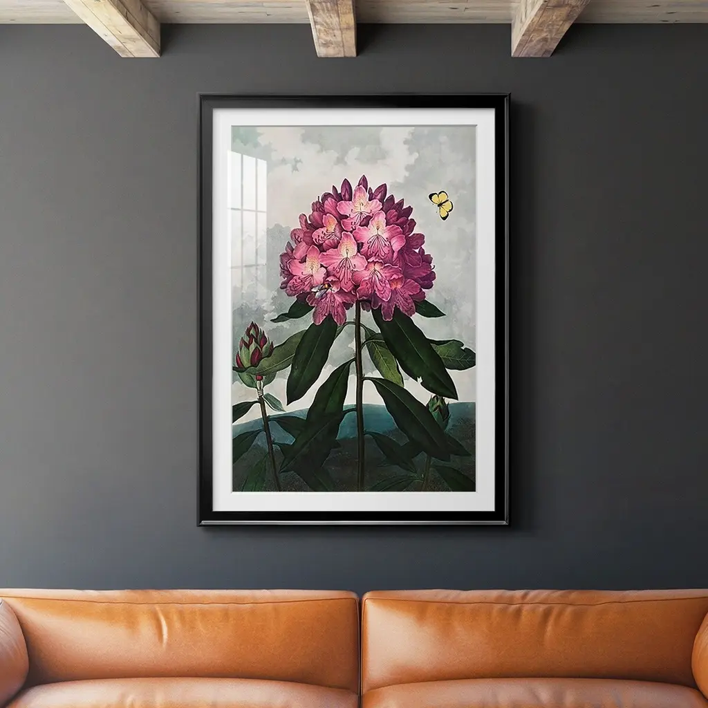 Temple Of Flora X Premium Framed Print - Ready To Hang - 22.5x30.5 - Black