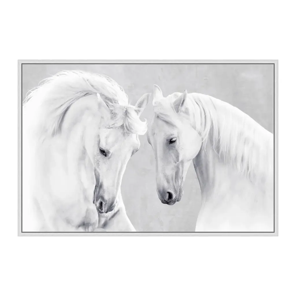 White Stallions