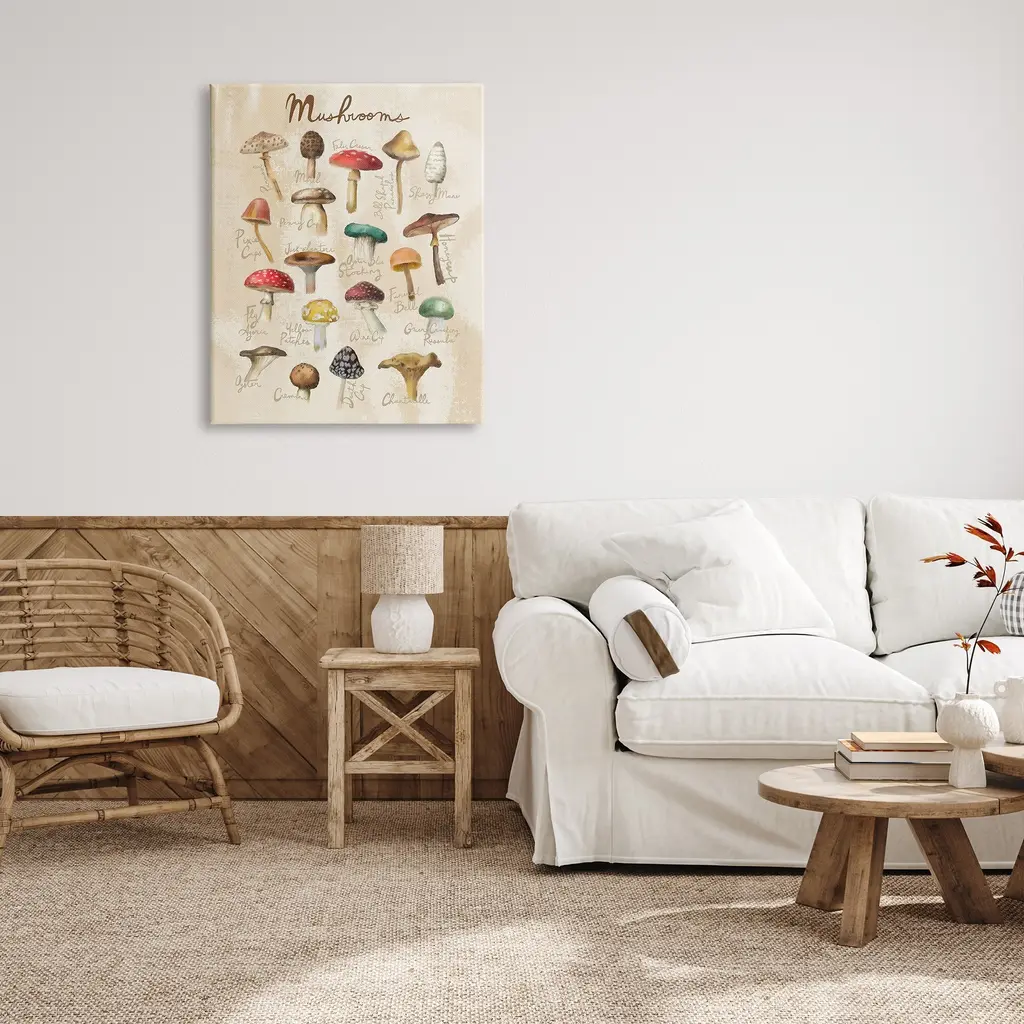Stupell Vintage Mushroom Types Diagram Canvas Wall Art By Amylee Weeks - 16 X 20