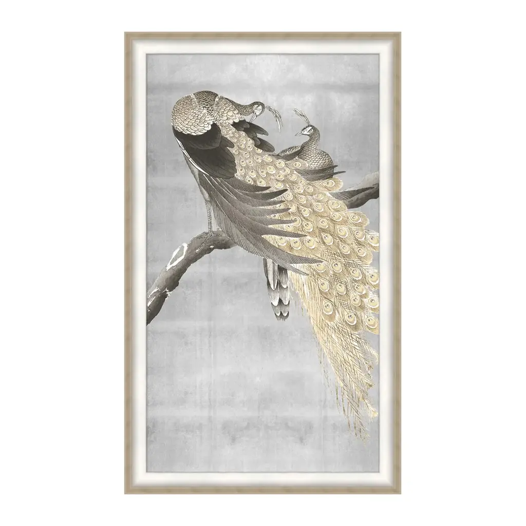 Silver Grace Peacocks