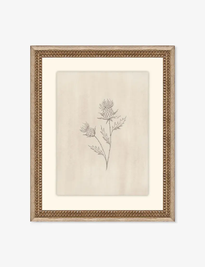 Elegant Botanical V Wall Art By Makai Howell