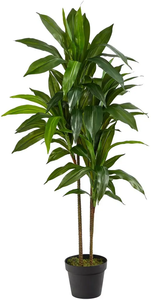 43" Faux Dracaena Tree