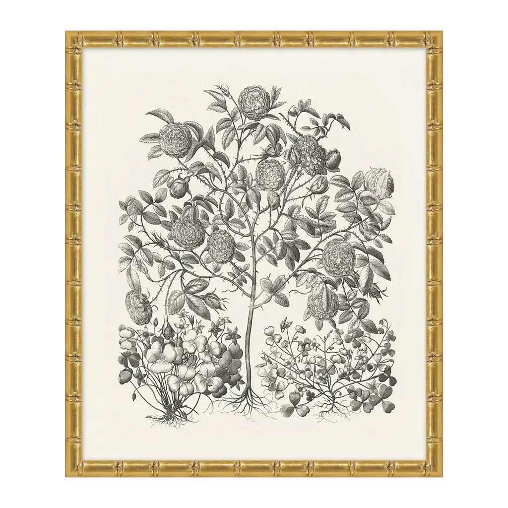 Bessler Study In Neutral 1