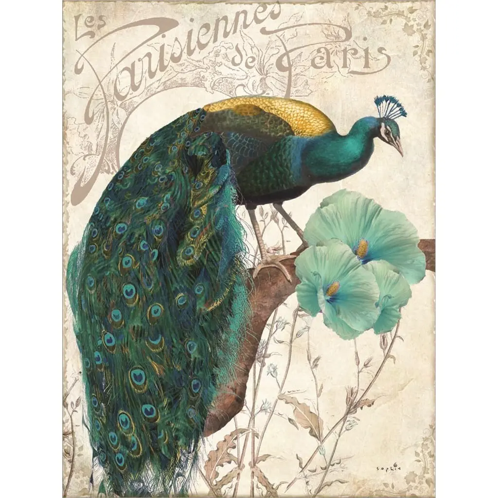 Sophie 6 'Les Paons Ii' Framed Art - 17 X 22