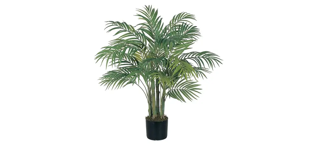 3Ft. Areca Silk Palm Tree