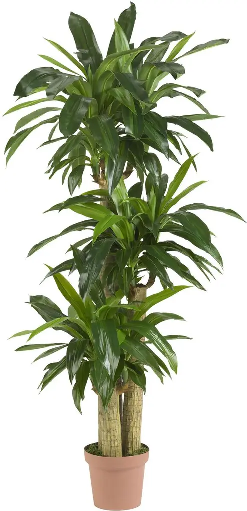 57" Faux Dracaena Tree
